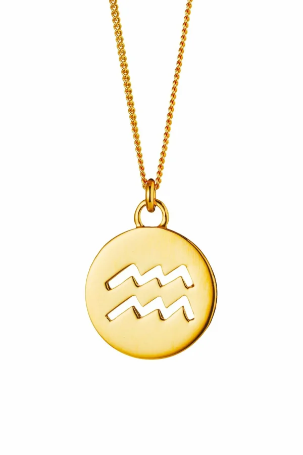 Halskette Wassermann Sternzeichen 925/- Sterling Silber vergoldet